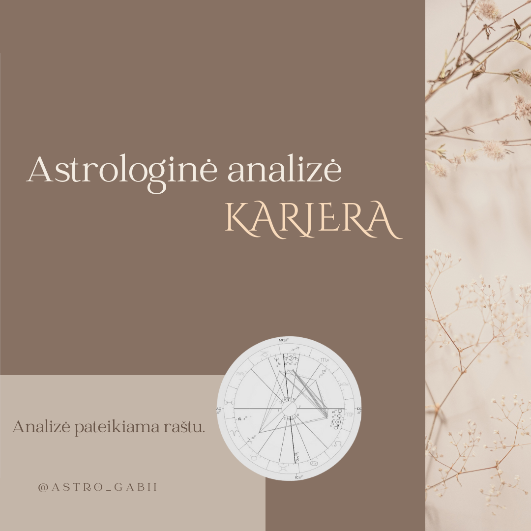 Astrologinė analizė "Karjera"