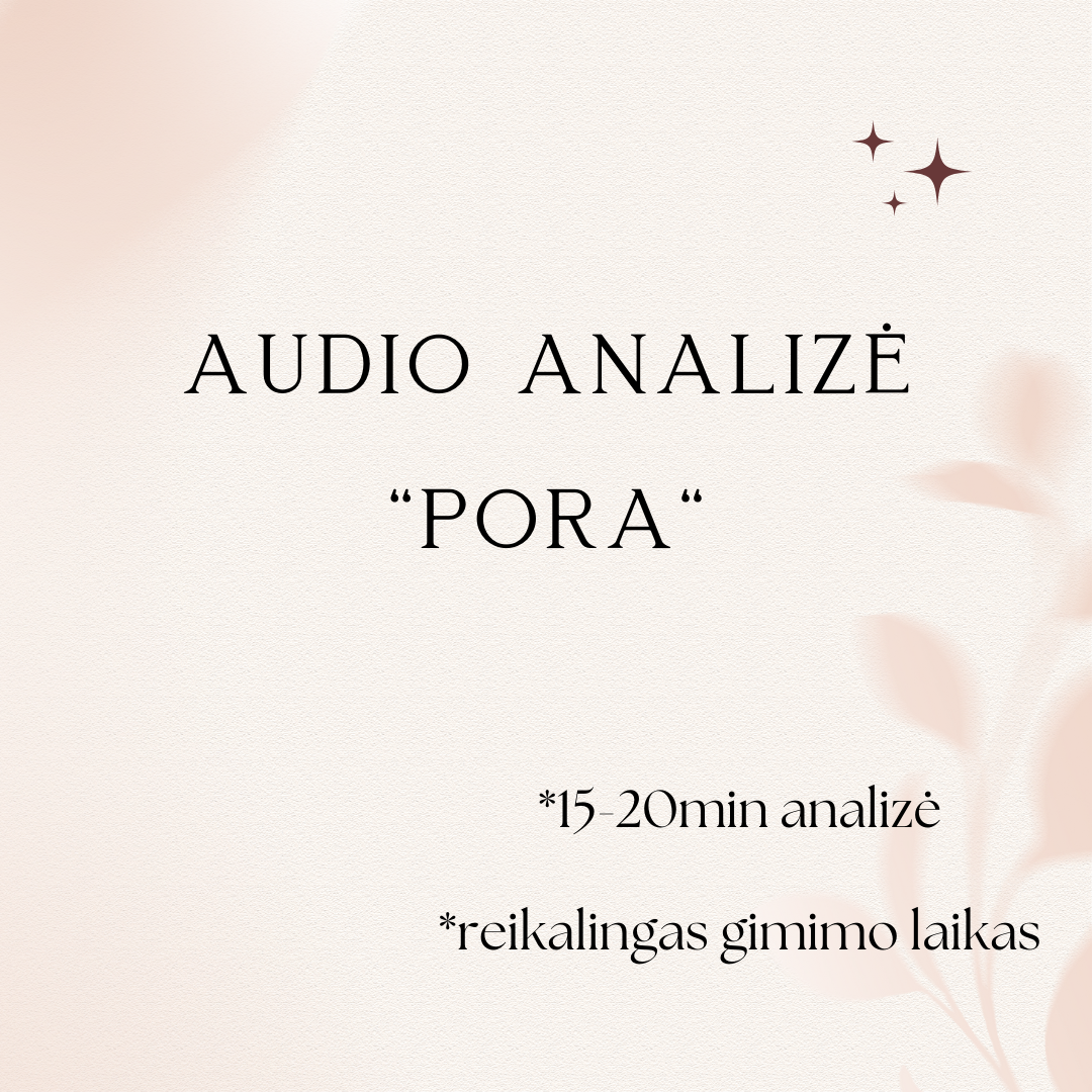 Audio analizė "Pora"