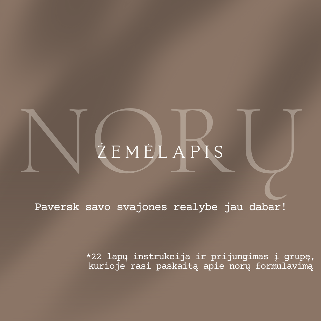 Paskaita "Norų žemėlapis" + konspektas