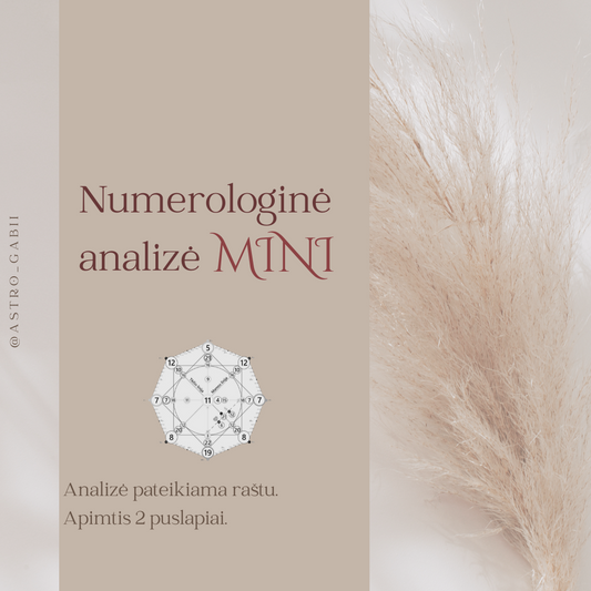 Numerologinė analizė MINI
