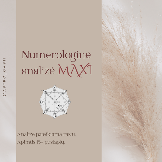 Numerologinė analizė MAXI