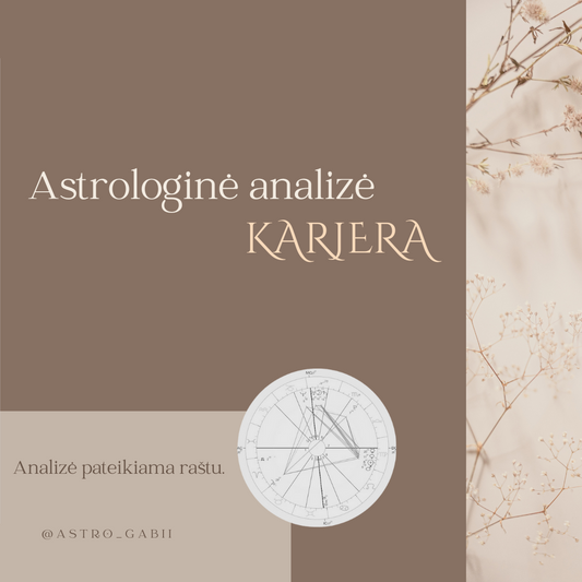 Astrologinė analizė "Karjera"