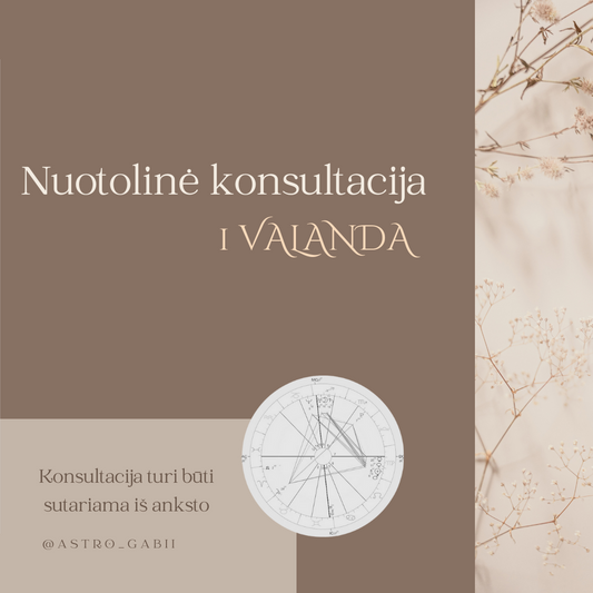 Online konsultacija