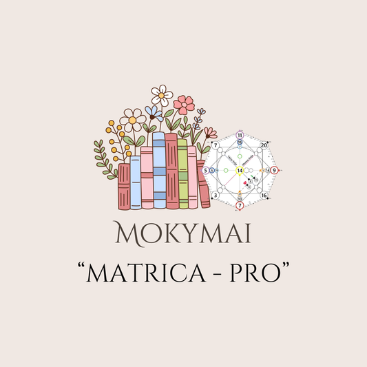 Mokymai "Matrica - PRO"