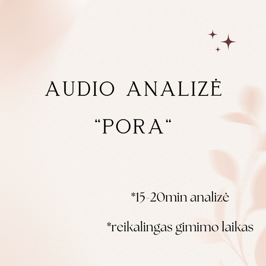 Audio analizė "Pora"