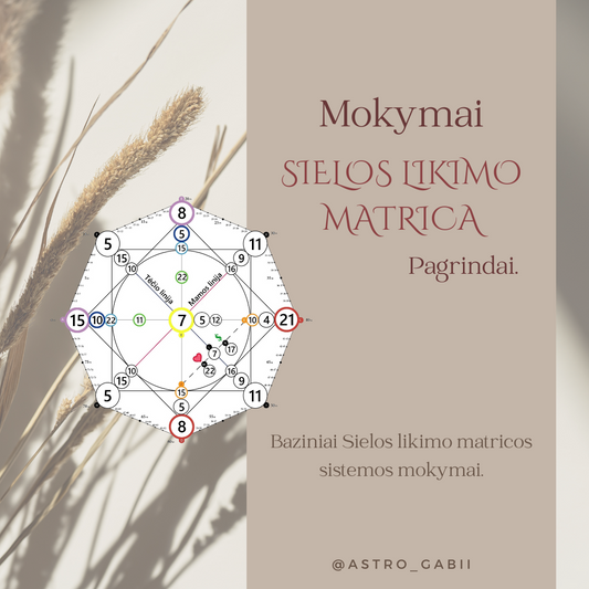 Mokymai "Sielos Likimo Matrica. Pagrindai"