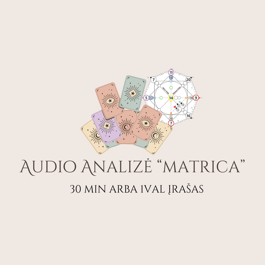 Audio analizė - MATRICA